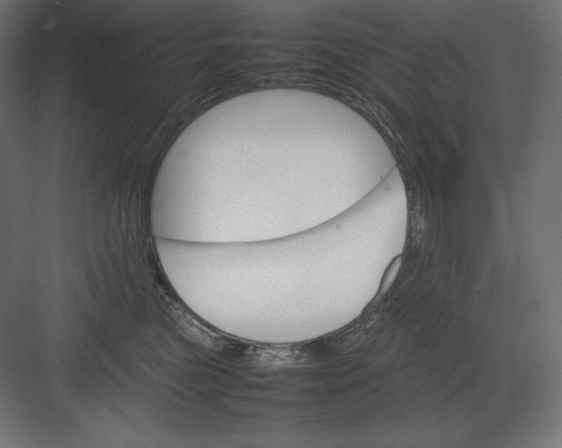 X0000082150473200702092156