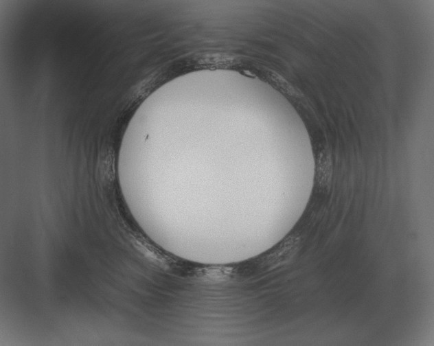 X0000082150474200702092156