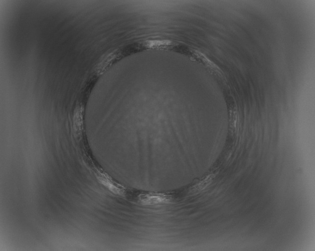 X0000082150475200702092156