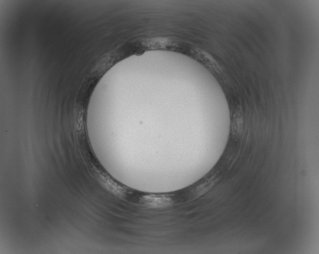 X0000082150477200702092156