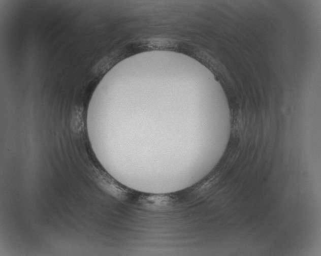 X0000082150478200702092156