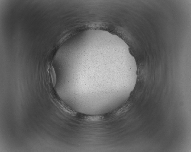 X0000082150479200702092156