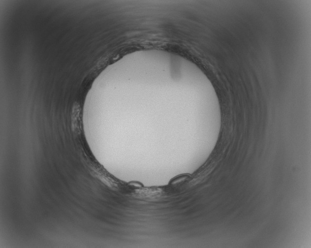 X0000082150480200702092156