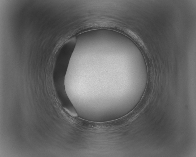 X0000082150481200702092155