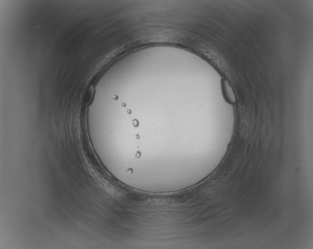 X0000082150482200702092155