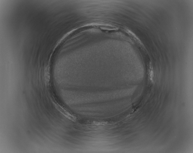 X0000082150484200702092155