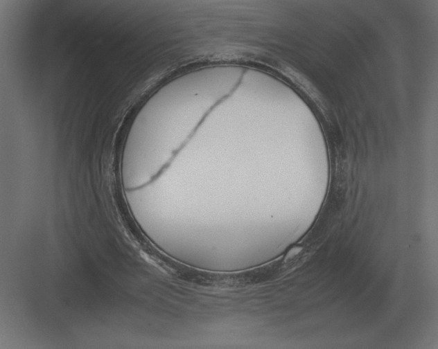 X0000082150485200702092155