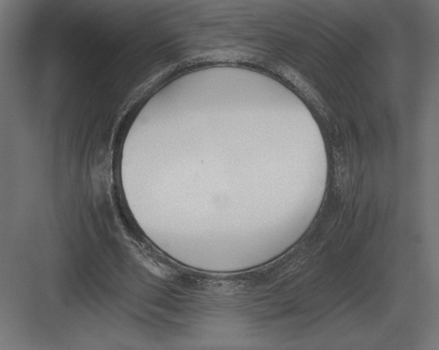 X0000082150486200702092155