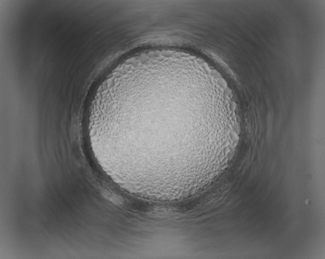 X0000082150487200702092155