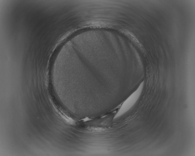 X0000082150488200702092155