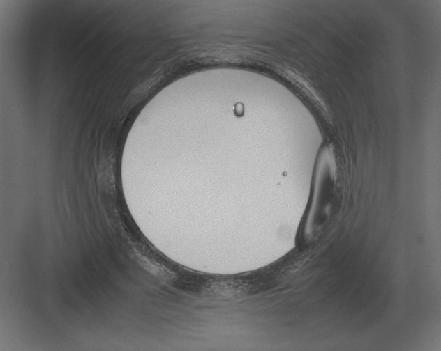 X0000082150489200702092155