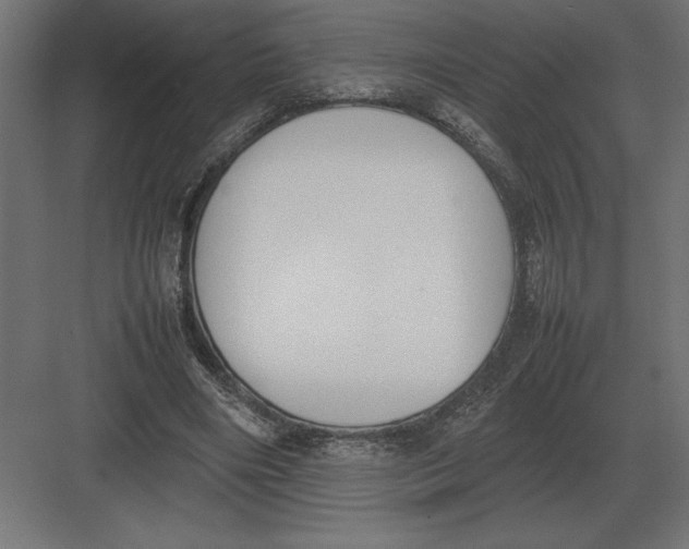 X0000082150490200702092155