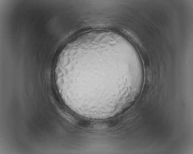 X0000082150491200702092155