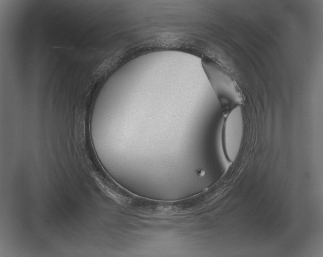 X0000082150493200702092155