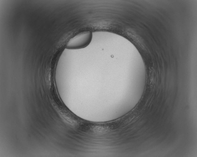 X0000082150494200702092155