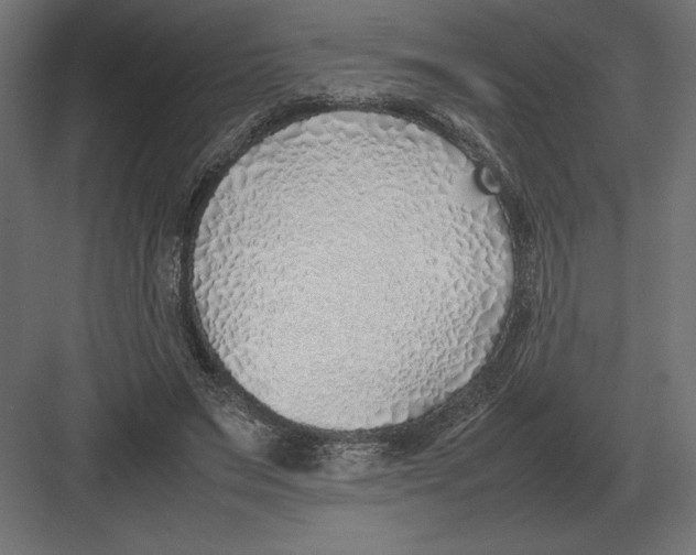 X0000082150495200702092155