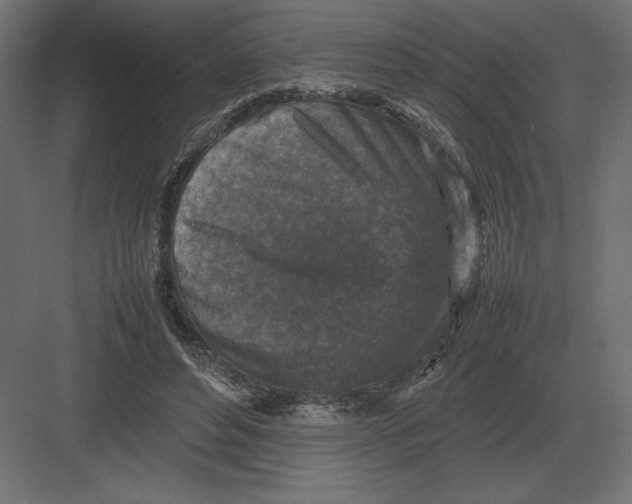 X0000082150496200702092155