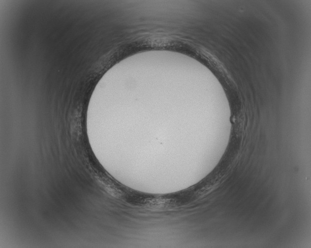 X0000082150497200702092155