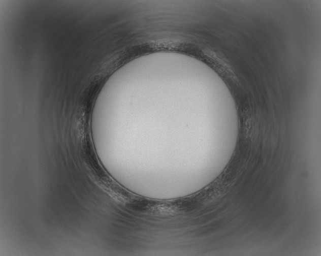 X0000082150498200702092155