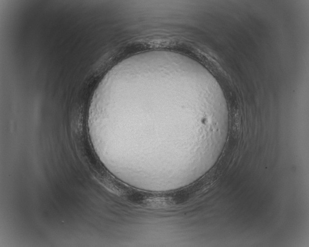 X0000082150499200702092155