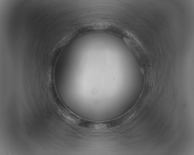 X0000082150501200702092155