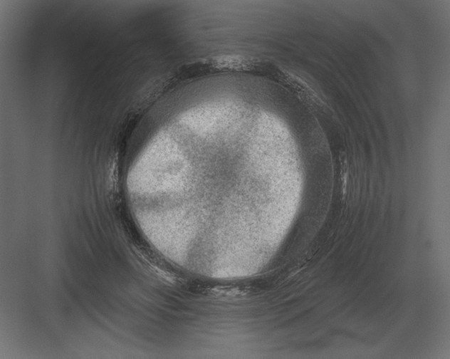 X0000082150502200702092154