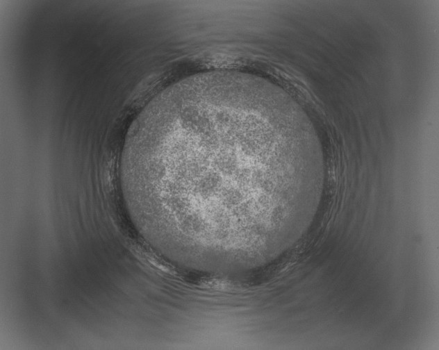 X0000082150503200702092154