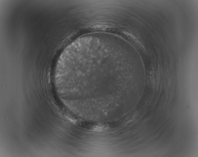 X0000082150504200702092154