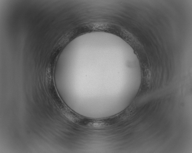 X0000082150506200702092154