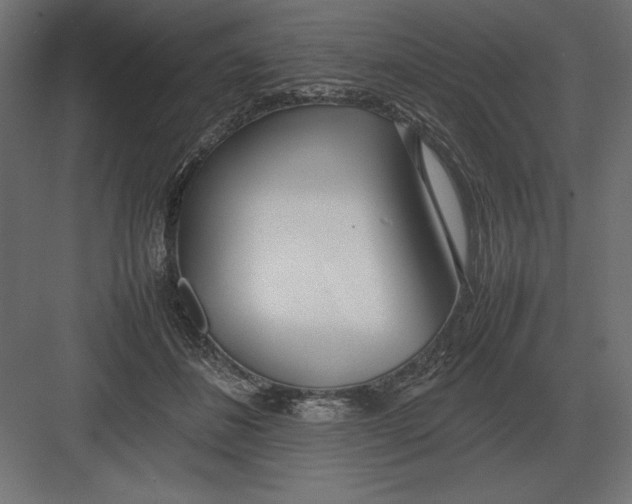 X0000082150508200702092154