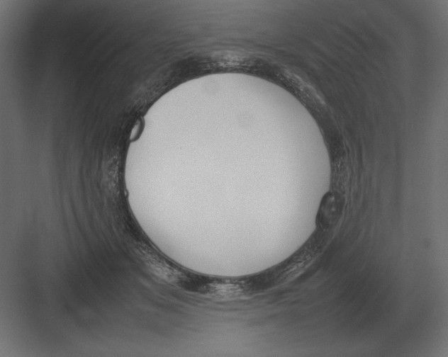 X0000082150509200702092154