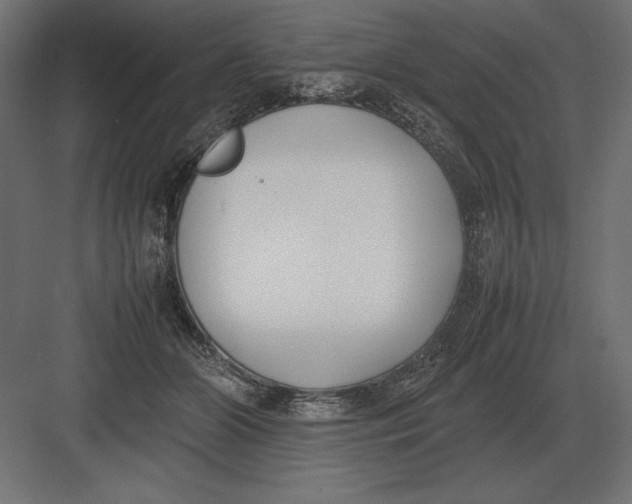 X0000082150510200702092154