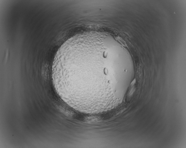 X0000082150511200702092154