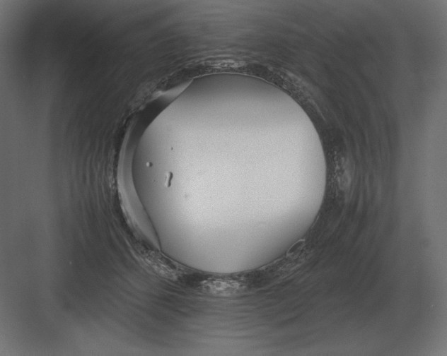 X0000082150512200702092154