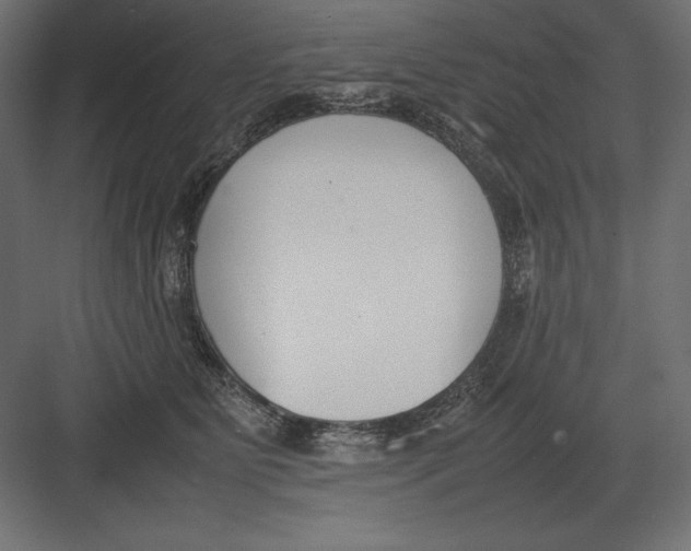 X0000082150515200702092154