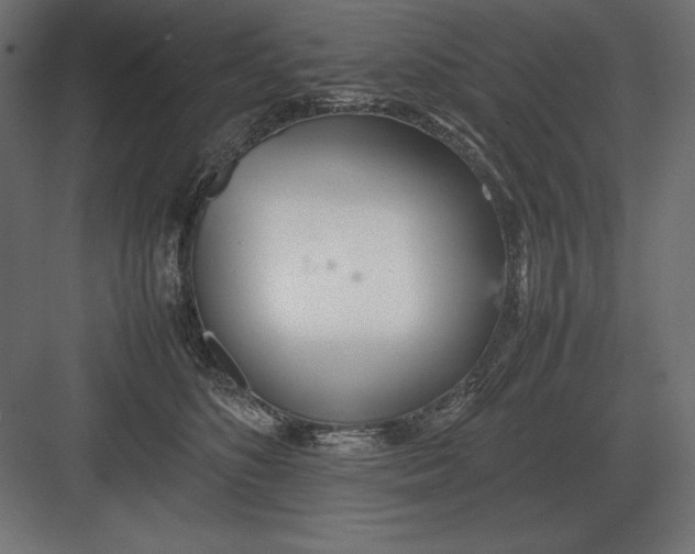 X0000082150516200702092154