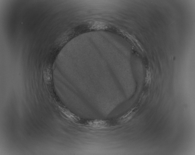 X0000082150517200702092154