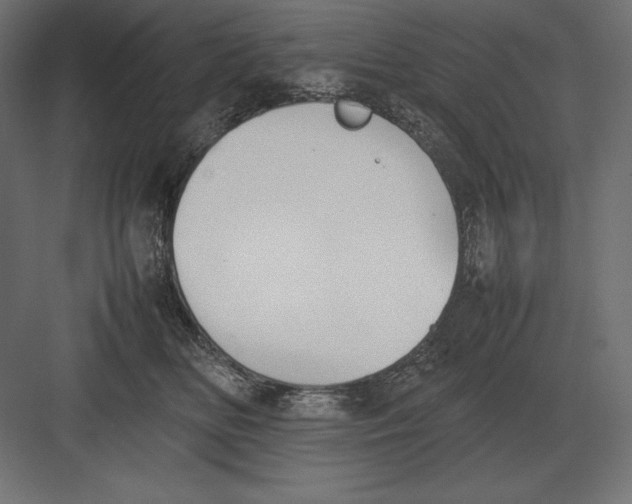 X0000082150518200702092154