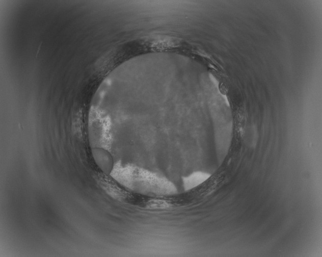 X0000082150519200702092154