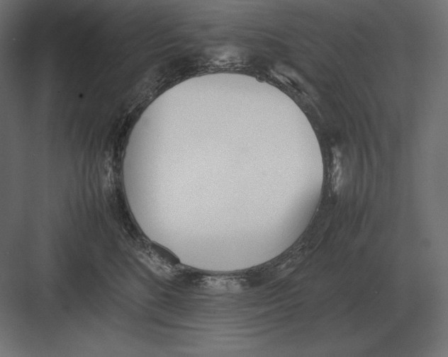 X0000082150520200702092154