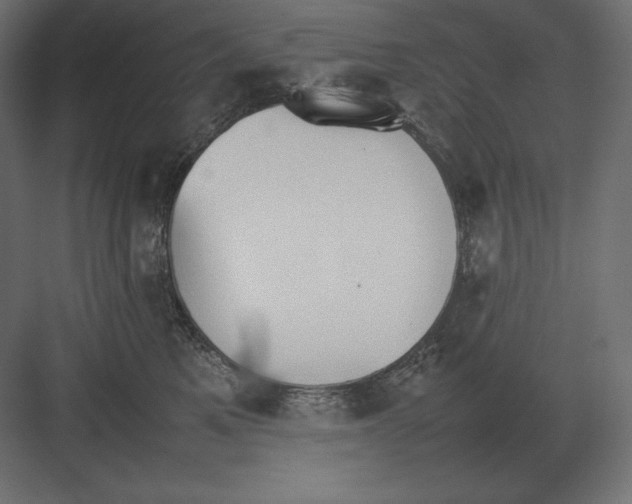 X0000082150521200702092154