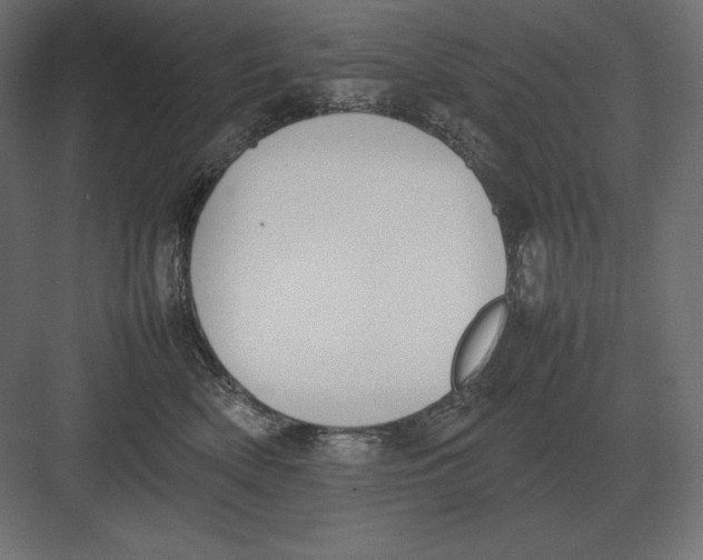 X0000082150522200702092154