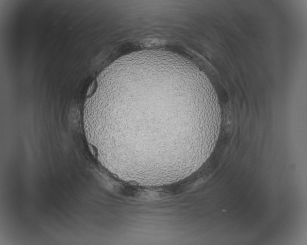 X0000082150523200702092154