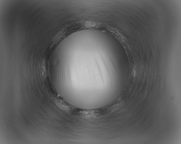 X0000082150524200702092154