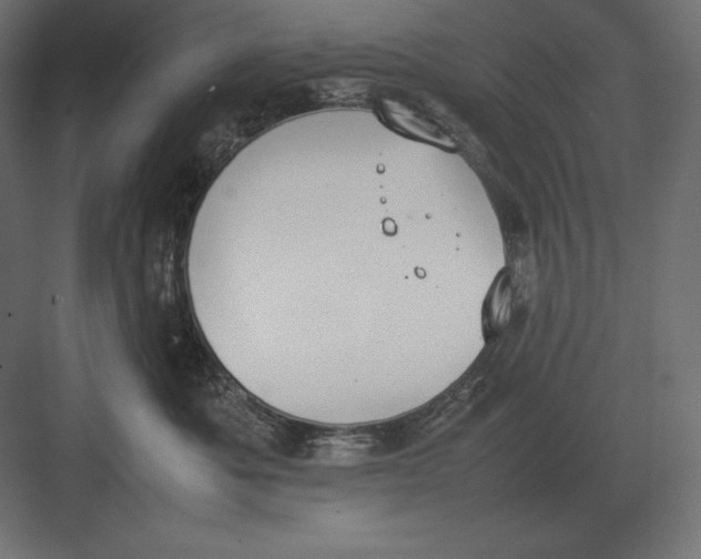 X0000082150525200702092154