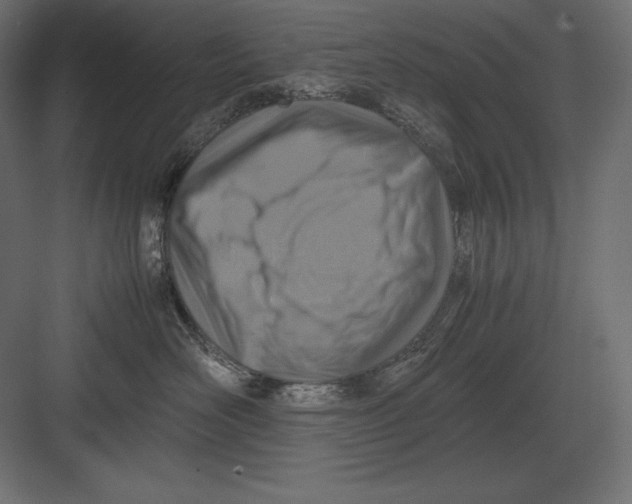 X0000082150526200702092154