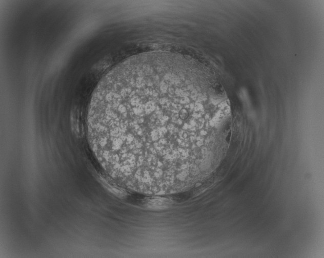 X0000082150527200702092154