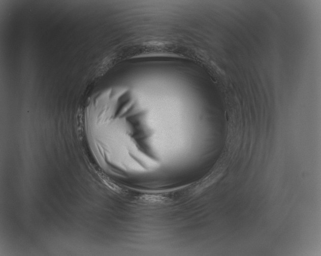 X0000082150528200702092154