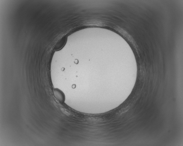 X0000082150529200702092153