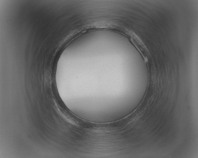 X0000082150530200702092153